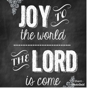 Wishing you ALL a safe and Happy Christmas season!